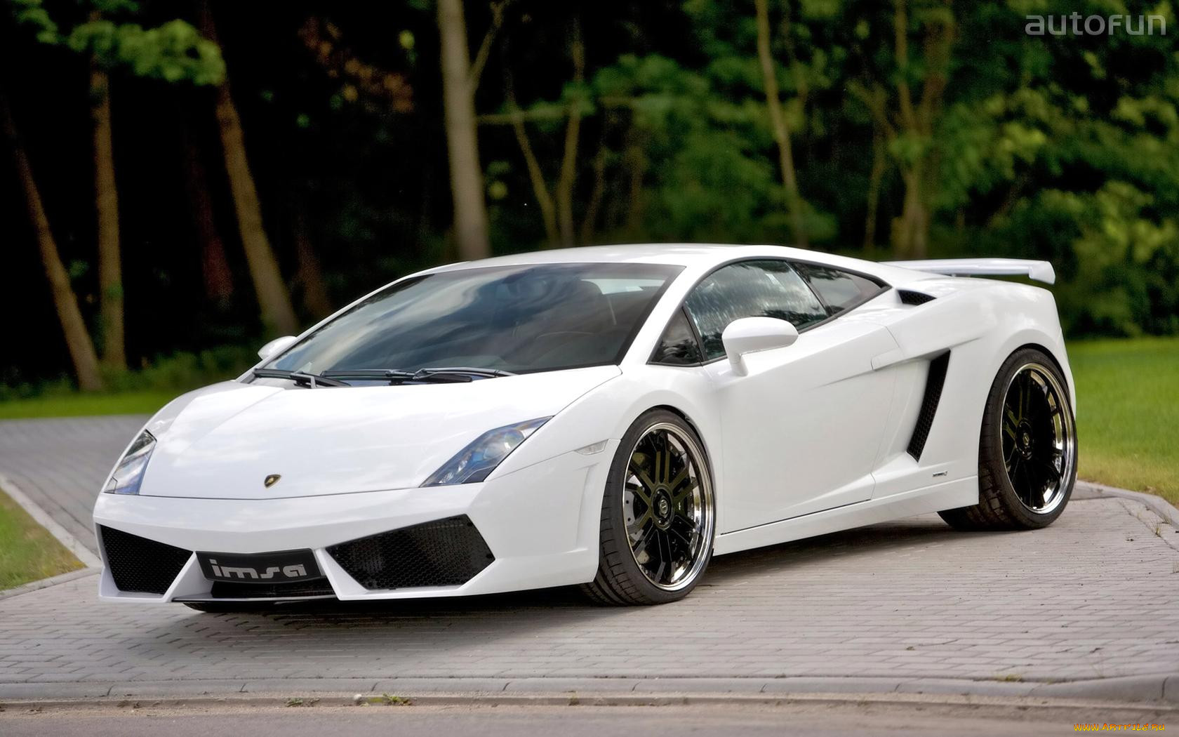 imsa, gallardo, lp560, , lamborghini